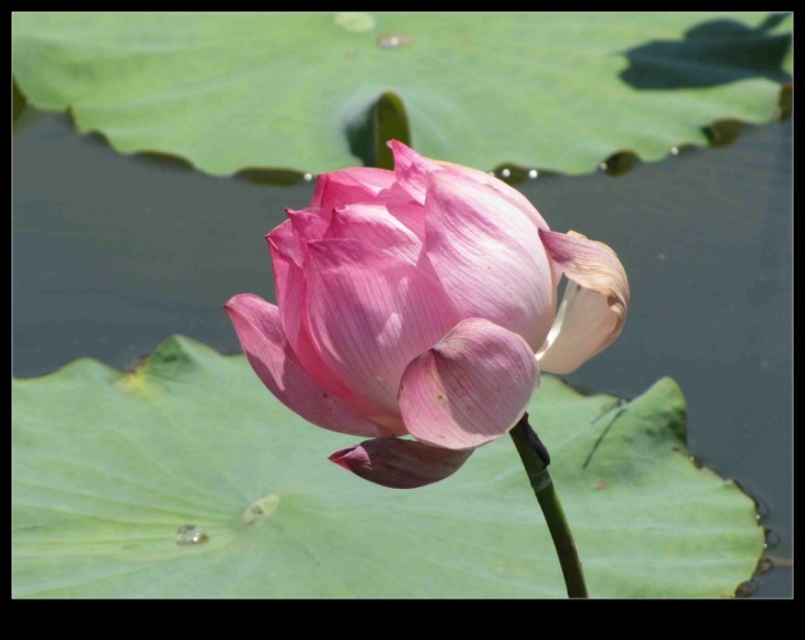 conew_img_0056.jpg