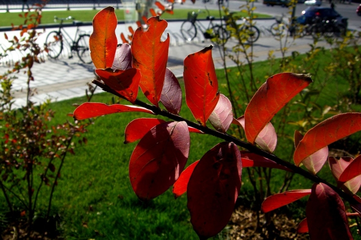 CIMG0781.jpg