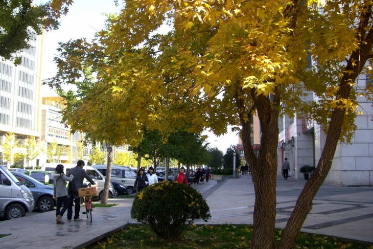 CIMG0749.jpg