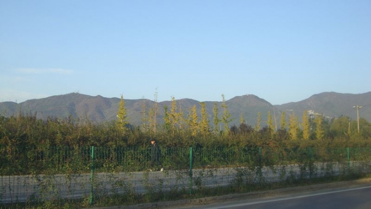 CIMG0764.jpg