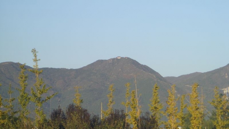 CIMG0765.jpg
