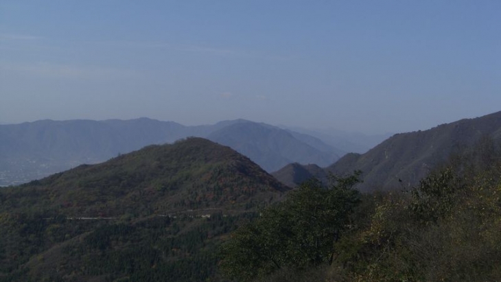 CIMG0807.jpg