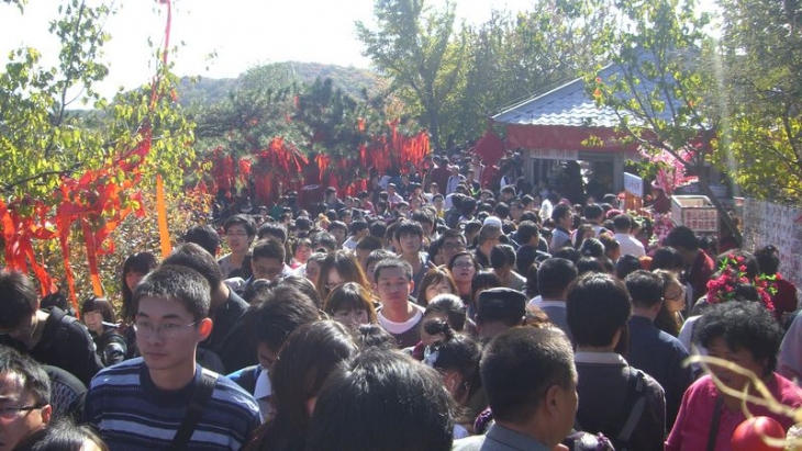 CIMG0813.jpg