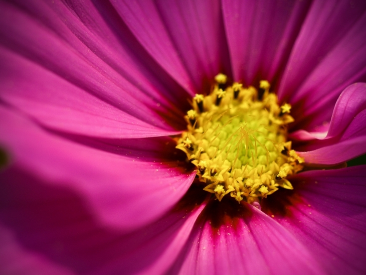 PB136343.jpg