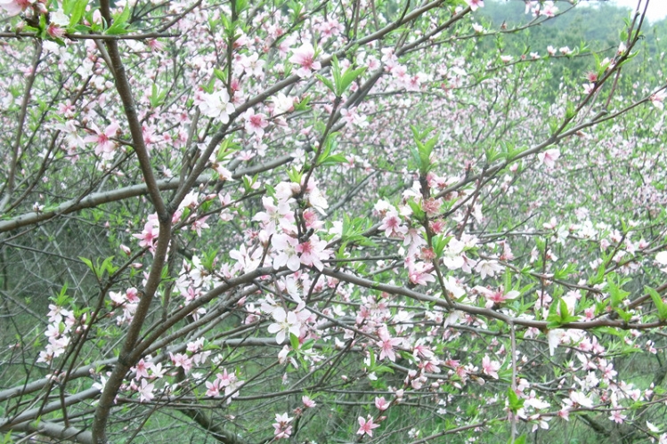 FILE0379_.jpg