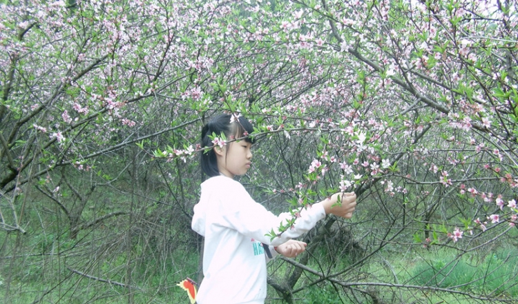 FILE0423_.jpg
