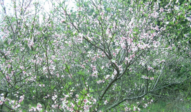 FILE0429_.jpg