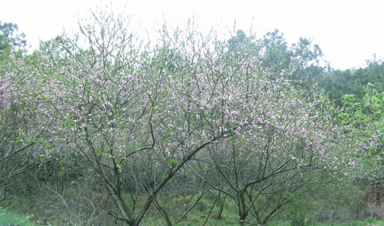 FILE0456_.jpg
