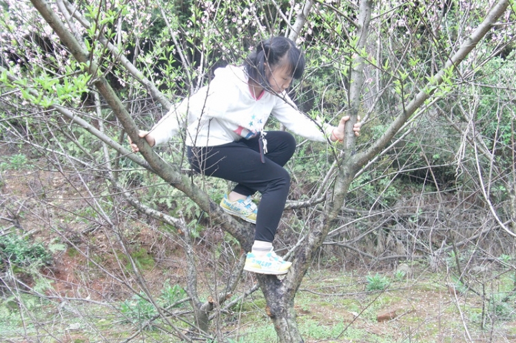 FILE0368_.jpg