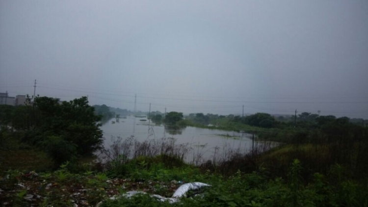 QQͼƬ20140526100453.jpg