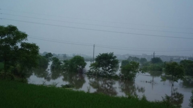 QQͼƬ20140526100439.jpg