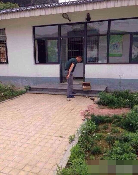 С4.jpg