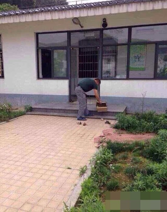С2.jpg