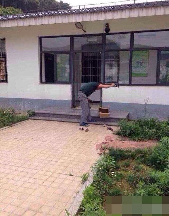 С3.jpg