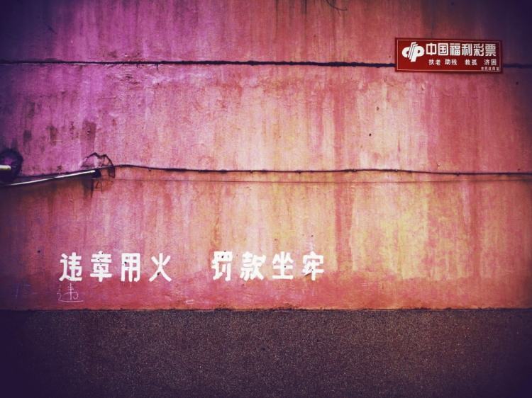 xlarge_DMhs_40c4000062761190.jpg
