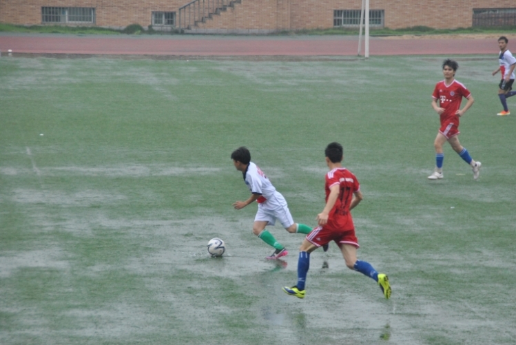 DSC_0183.JPG