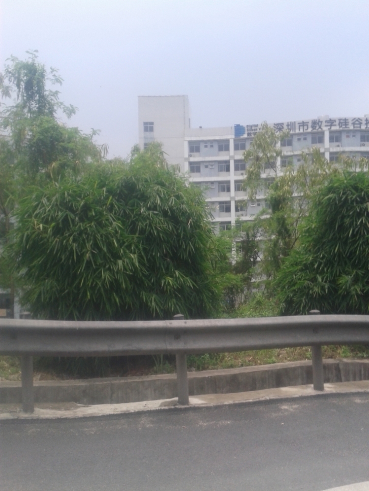 20140608_120933.jpg